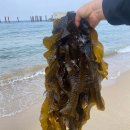 아산퍼스트마취통증의학과의원 이미지