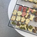 댕댕수라상 이미지