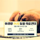 전주아이들동물병원