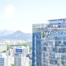 베스트원피피오 이미지
