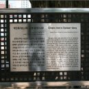 계산동 은행나무 이미지