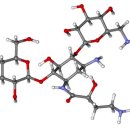 명지바람 이미지