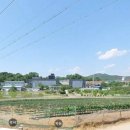 은파유치원 이미지