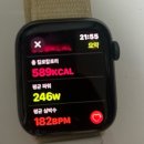 [애플워치 러닝] 7km 런닝 후기 및 기록, 나이키런클럽(nikerunclub)과 비교