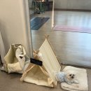 개운로또 | 🧘‍♀️광산구 이색 운동 추천!🧘‍♀️ 발리요가 플라잉 첨단점 솔직 후기