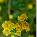 건너농장 이미지