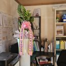 한밤실마을 이미지