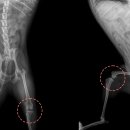 굿프렌즈동물병원 이미지