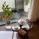 스테이유을 이미지