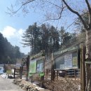 푸른향기 | 내돈내산 가평 잣향기푸른숲 평일 방문 후기 🌲 서울근교 숲 힐링 산책 가볼만한곳