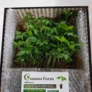 군서농장 이미지