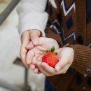 월롱농장 이미지