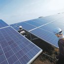 대신 태양광발전소 이미지