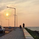 제주미즈리 - 제주시 용마서길 25-1 | 제주미즈리