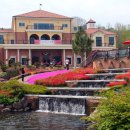 종합소득세 신고 절차 이미지