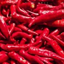 백천농장 이미지