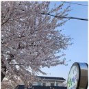 꽃지늘봄펜션 이미지