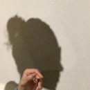 준용커먼레일 네이버블로그