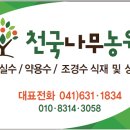 천국나무농원 이미지
