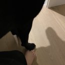 pet 163누 5199 | 내 시간은 느리고 마음엔 공간이 많아