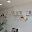 고프로뷰티