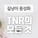 나비동물병원 이미지