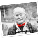 농수산시장 농협 옆 이미지