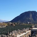 추사 유배길 - 3코스 사색의 길 이미지