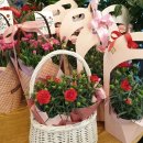 365게임랜드 이미지