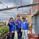 안막2구 이미지