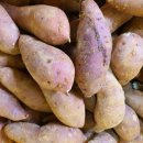 선영농장 이미지