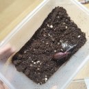 승기농장 이미지