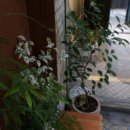 더 해움 이미지