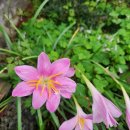 고음농장 이미지