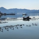 삼산면사무소 이미지