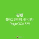 A0150 | 고양이, 강아지 치약 핏펫 플라고 덴티덤 시카 치약 내돈내산 후기