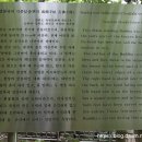 성불사지 석불입상 이미지