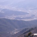 버섯마을 이미지