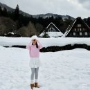 주)조이트래블여행사 | 나고야 7박8일 시라카와고 히다 다카야마 당일치기 버스투어 추천 인디고트래블 내돈내산 솔직후기