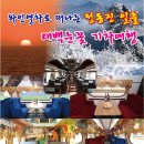 1월 와인열차로 떠나는 태백눈꽃 기차여행 이미지