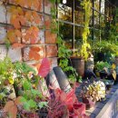 청두곶길 12 이미지