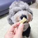 편안하댕 이미지