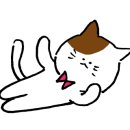 마님의부엌