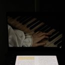 하이츠 | 미친 사람의 사랑 이야기_ 고전 소설 [워더링 하이츠] 후기