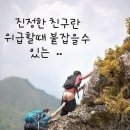 멍멍멍 이미지
