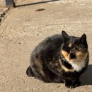 이마트24 파주사이먼점 | 파주 해브펀 캠핑어라운드 글램핑장에서 즐거운 시간 보내고 왔어요 ^♡^