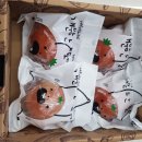 지에스증평삼보점 네이버블로그