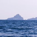 고흥-8호 이미지