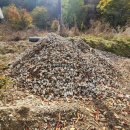 야산농장 | 이천 굴삭기 렌탈, 비용 아끼고 나대지 평탄화 작업 한 번에 끝내는 법