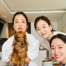 장금이 엑스포츠뉴스